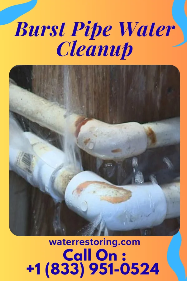 Burst Pipe Water Cleanup in Trotwood, OH