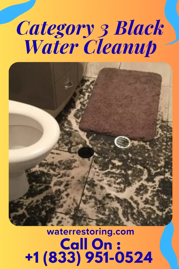 Category 3 Black Water Cleanup in Trotwood, OH