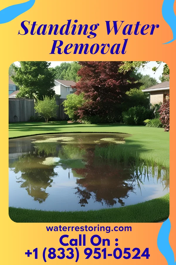 Standing Water Removal in Trotwood, OH
